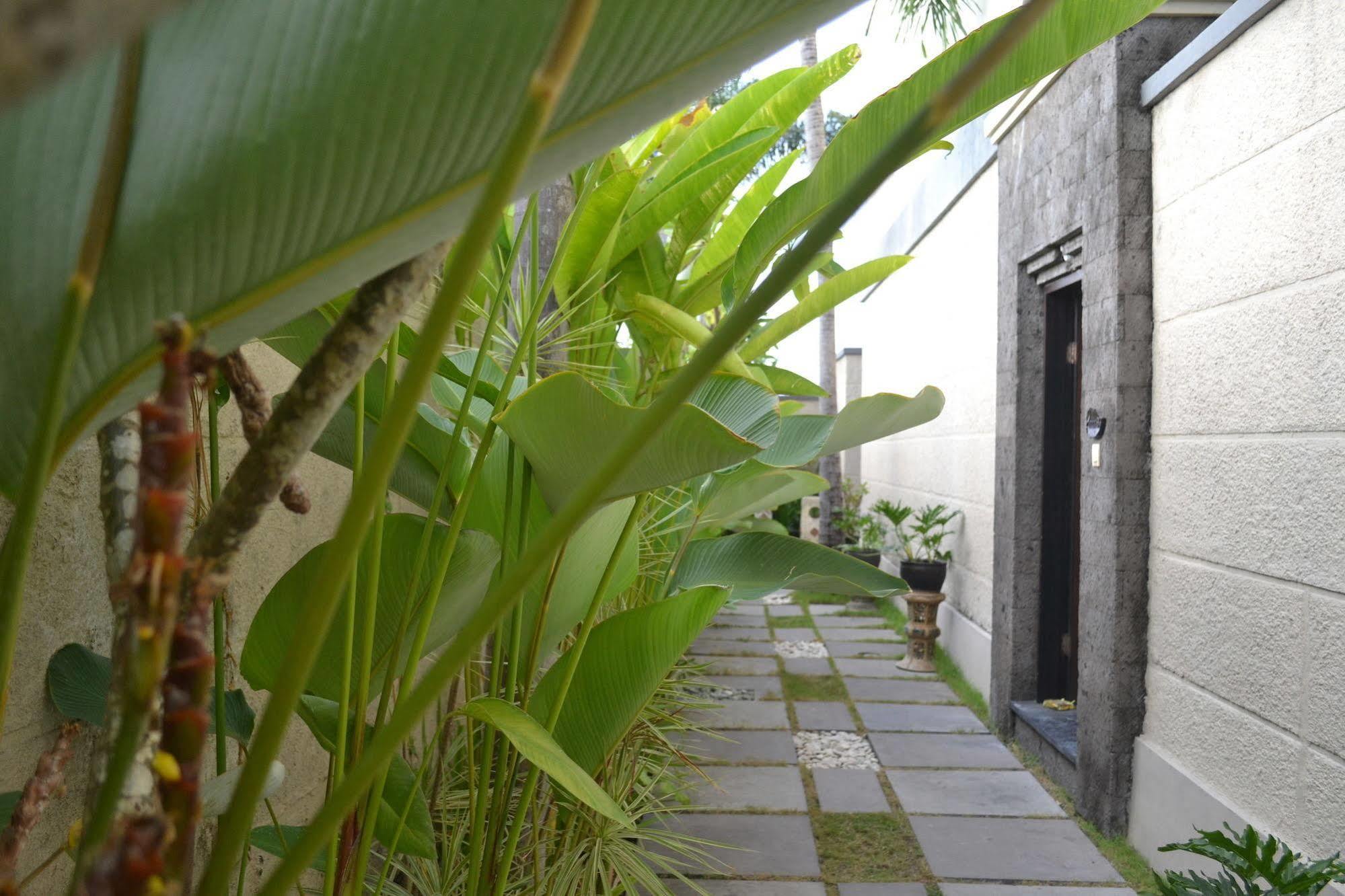 D'Alang Alang Villas 塞米亚克 外观 照片